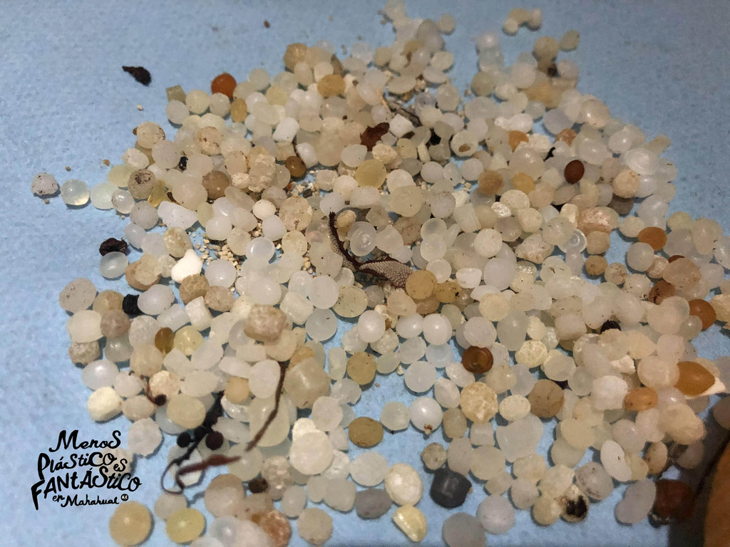 Los nurdles o pellets encontrados en las costas de Mahahual.