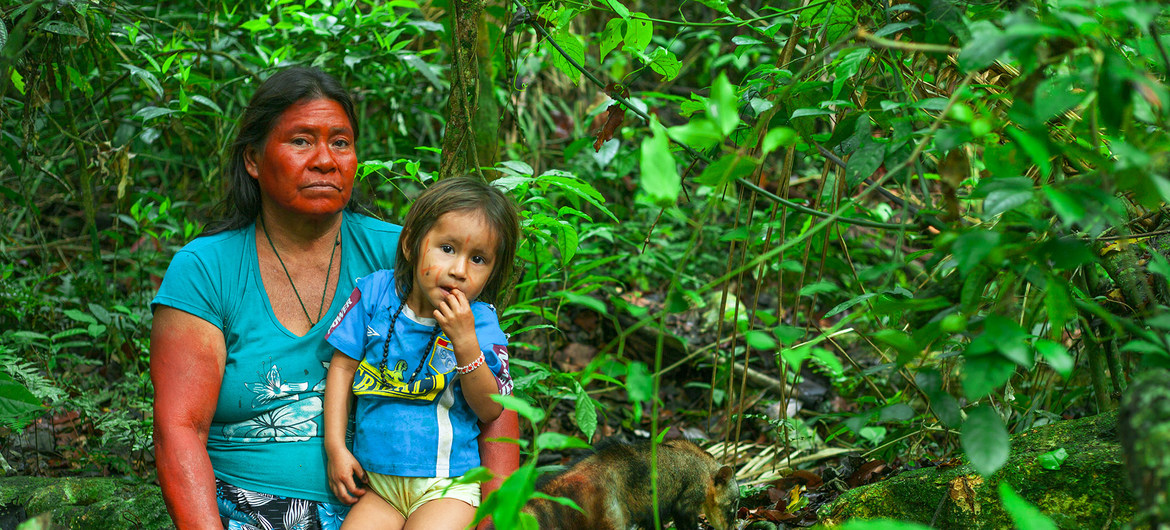 Reserva comunal Amarakaeri, área natural de 402.335 hectáreas protegida por las comunidades harakbuts, yines y machiguengas en Madre de Dios, en la Amazonía de Perú.