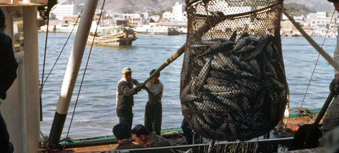 Pescadores descargando en un puerto.