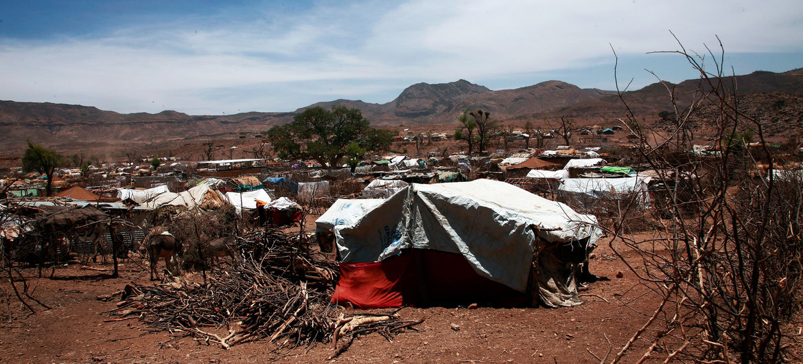 La violencia entre comunidades en Darfur hace que millones de personas necesiten ayuda. En la foto, un asentamiento de desplazados internos en Sortoni. (Foto de archivo)
