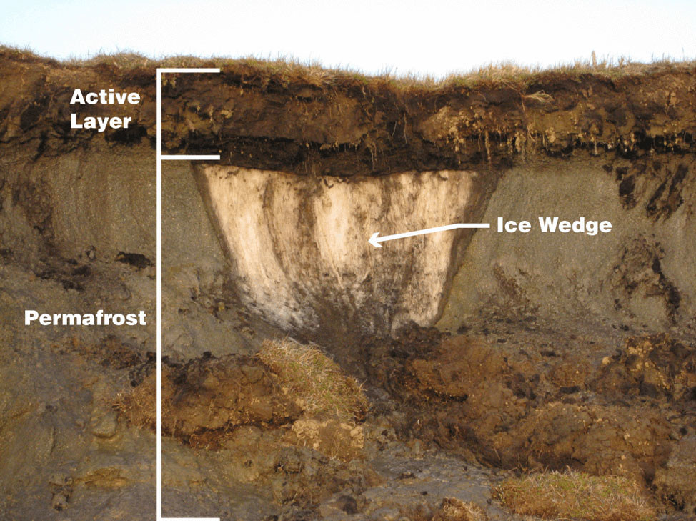 Capas del permafrost: capa activa, cuña de hielo, permafrost.