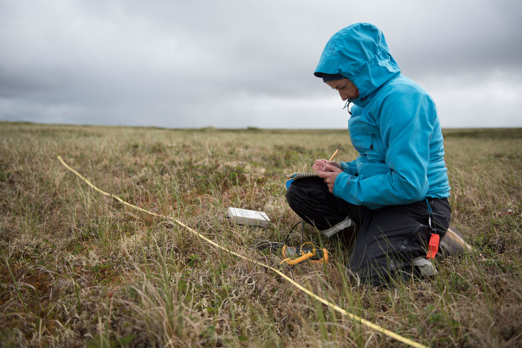 La doctora Susan Natali, científica del Woodwell Climate Research Centre, estudia el permafrost en la región del delta del Yukón-Kuskokwim de Alaska (Estados Unidos).