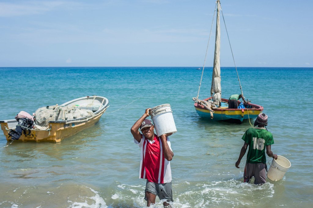 Pescadores en aguas haitianas.