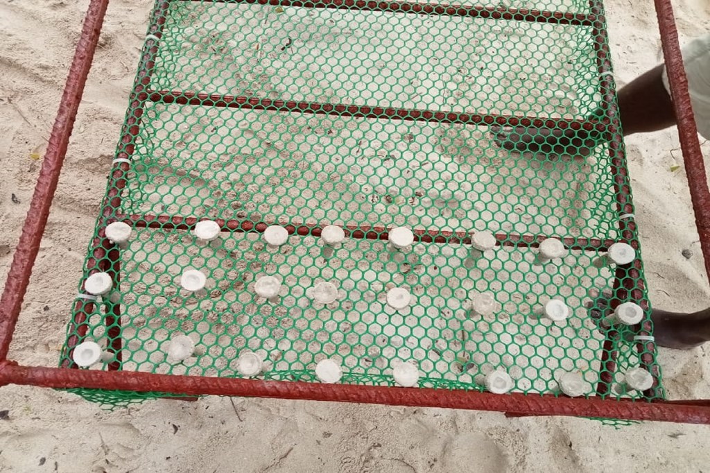 Cama metálica con mallas de plástico que se utiliza para restaurar los arrecifes de coral en el condado de Kilifi, en Kenya