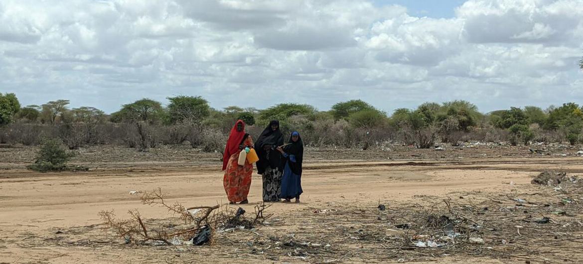 La devastadora sequía en Somalia ha alcanzado niveles sin precedentes, con un millón de personas registradas como desplazadas dentro del país.