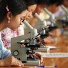 Niñas estudiantes de materias científicas en Vietnam. Aunque más niñas que nunca van a la escuela, están infrarrepresentada en las asignaturas de ciencia y tecnología.