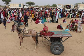 Refugiados sudaneses llegando a Chad.