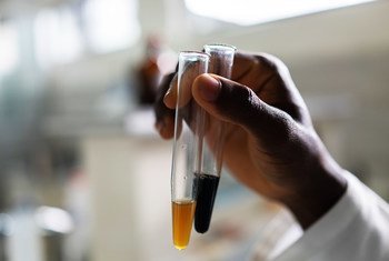 Un trabajador de laboratorio extrae ingredientes de plantas en Ghana, donde alrededor del 70% de los pacientes usan medicina herbolaria.