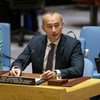 Nickolay Mladenov, coordinador especial para el Proceso de Paz en Medio Oriente, informa al Consejo de Seguridad.