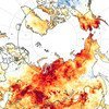 Las temperaturas de Siberia en junio de 2020 fueron las más cálidas en casi 20 años. 