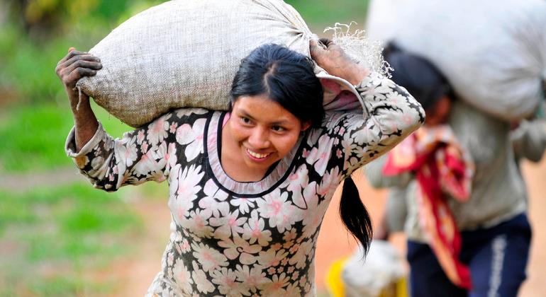 La inseguridad continúa en el departamento del Cauca, en el suroeste de Colombia, donde el cultivo del café es una industria importante.
