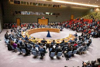El Consejo de Seguridad se reúne tratar la situación en Gaza.